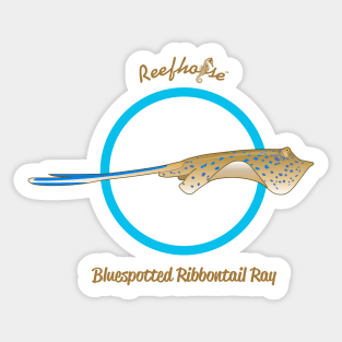 Bluespotted Ribbontail Ray Sticker